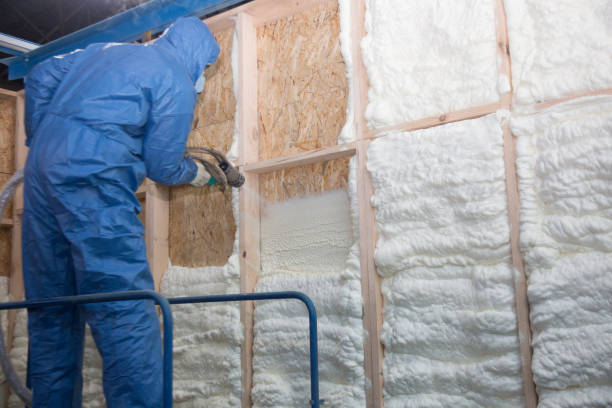 Best Thermal Imaging for Insulation Gaps in Fennimore, WI